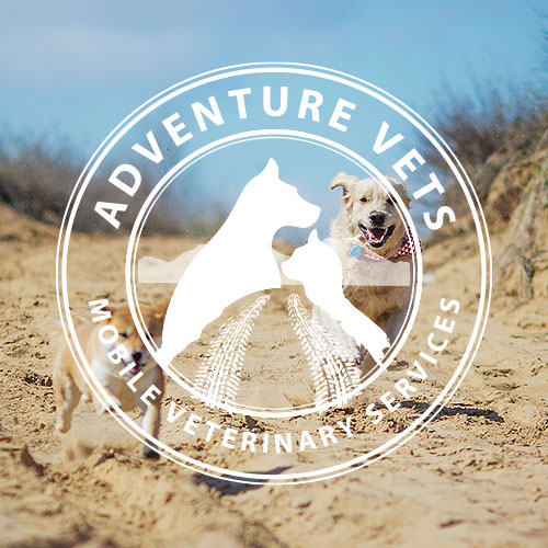 Adventure Vets