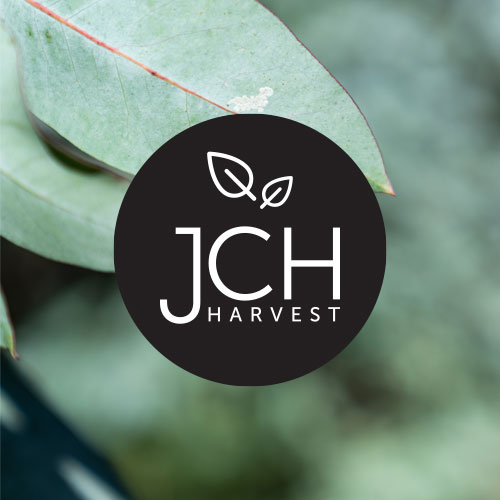 JCH Harvest